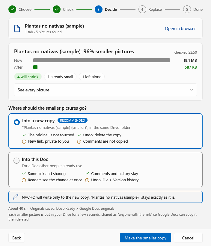 Step 3, Decide: the Doc's pictures go from 19.1 MB to 587 KB; choose Into a new copy (recommended) or Into this Doc